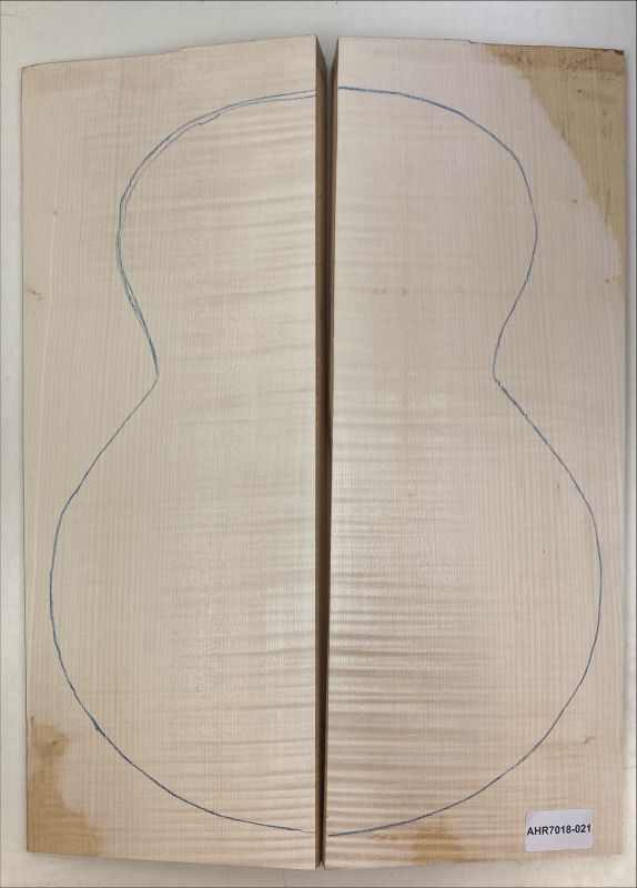 Back & Sides Sycamore / Europ. Maple, Archtop Unique Piece #021